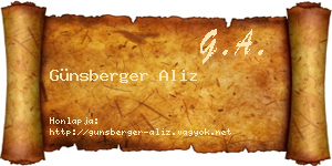 Günsberger Aliz névjegykártya